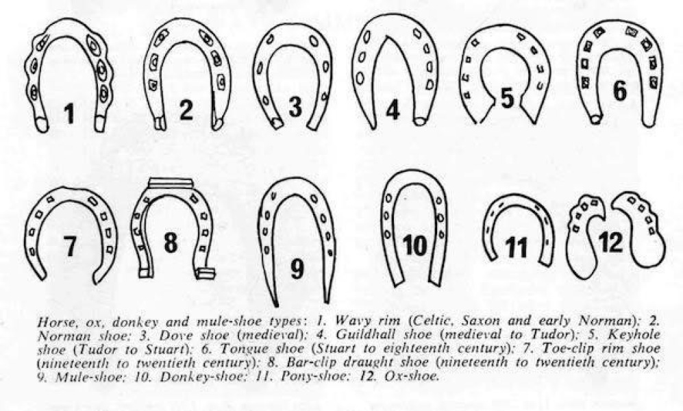 Can anyone age this horseshoe?