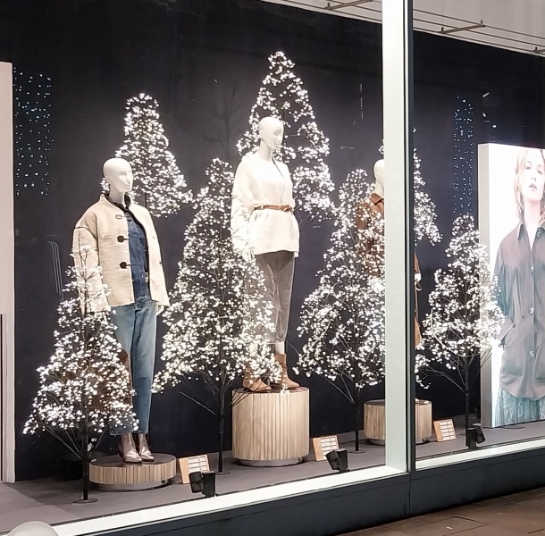 The Christmas trees in next window.