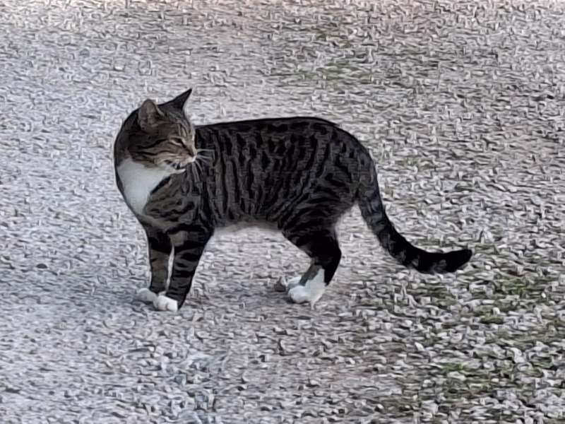 Thread 13 Starmer - facts are for lefties