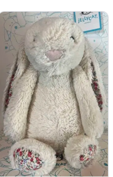 Help, are any mumsnetters passing the St Pancras premier inn next few days