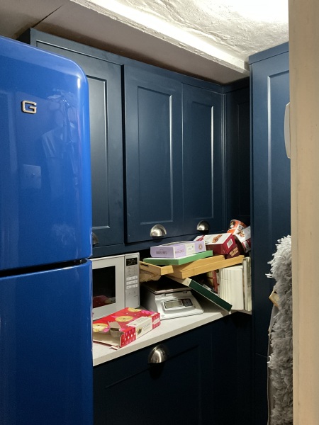 To ask kitchen pantry-havers if they are really that great?