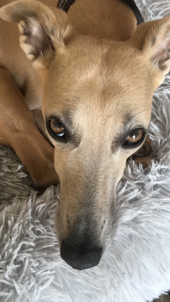 He won't let me visit his home