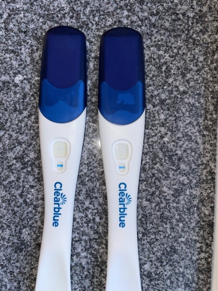 Clear blue test. Evap line or positive