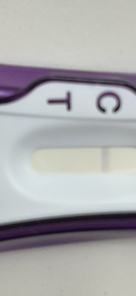 8 dpo vvvvfl?