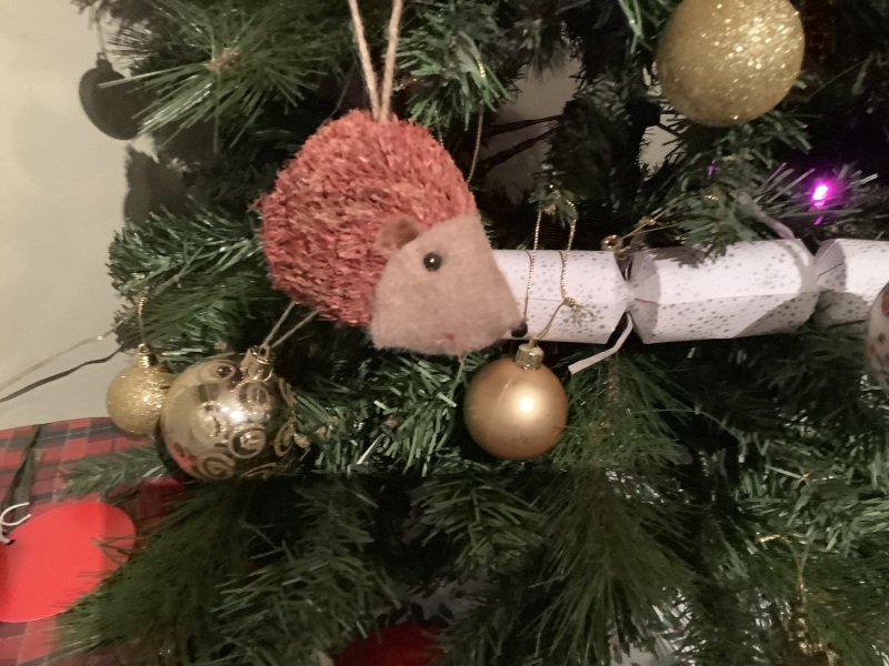 Bluestocking: the one where Boiled gets to the bar first!