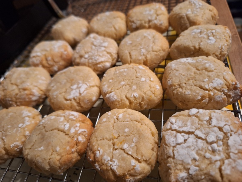 The Nigel Slater Christmas Chronicles Readalong 2024 Part 2