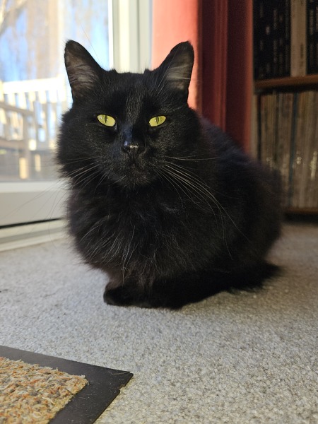 Thread 13 Starmer - facts are for lefties