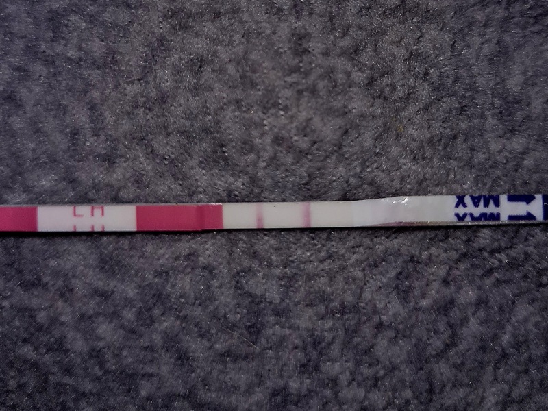 Is this a positive ovulation test