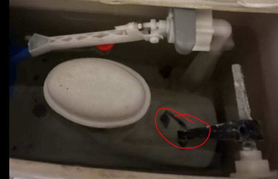 That a three week wait to fix a broken toilet isn't acceptable?