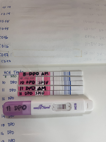 2dpo today, company welcome :)