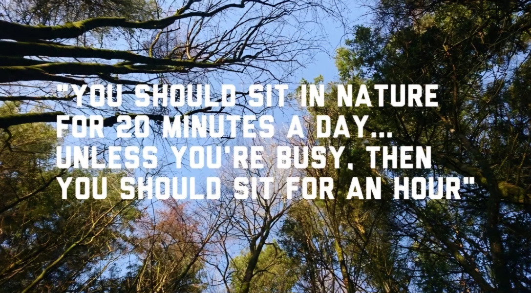 The Nigel Slater Christmas Chronicles Readalong 2024 Part 3