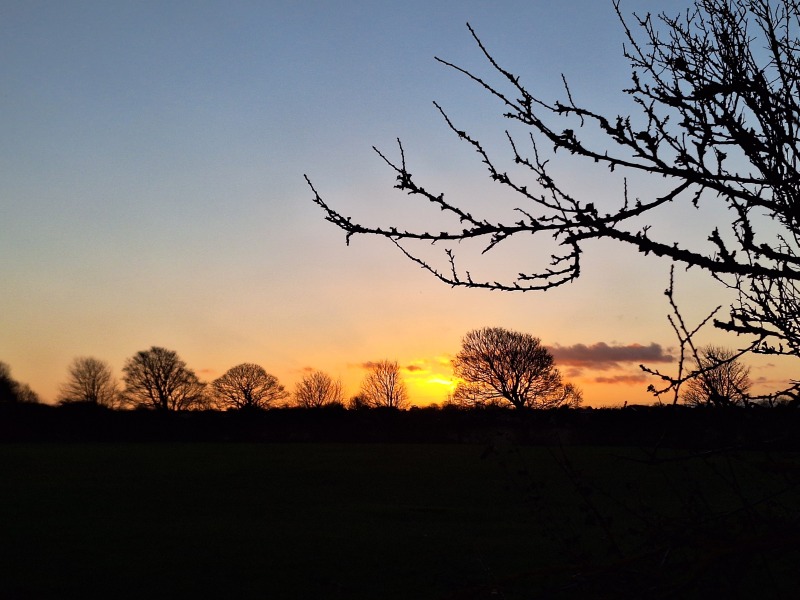 The Nigel Slater Christmas Chronicles Readalong 2024 Part 3