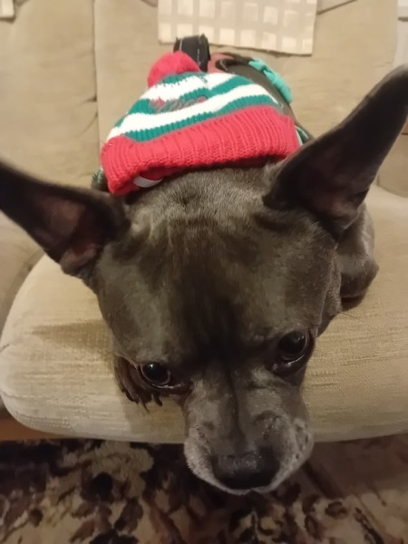 The Continuing Support Thread for Anyone Trying to Lead an Alcohol-Free Life Winter 2024