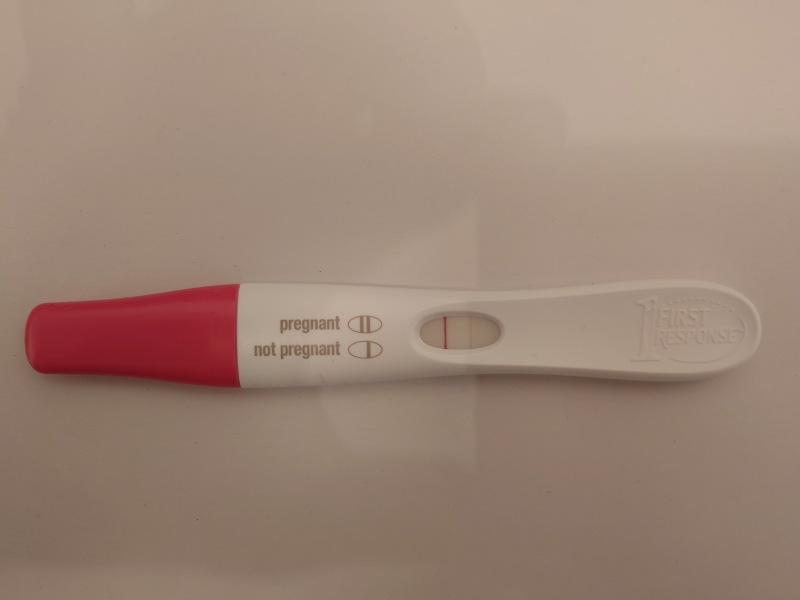 August 2025 Due Dates Club