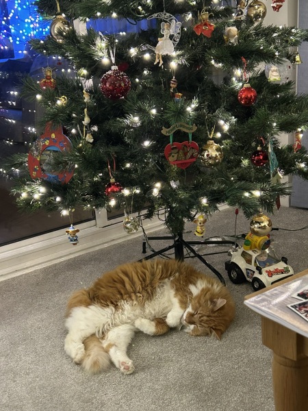 Archie's Done with Xmas