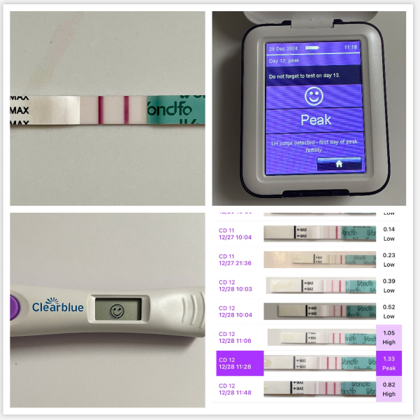 TTC December 2024 🩷✨