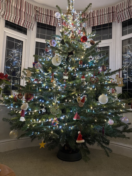 Show us your Christmas trees