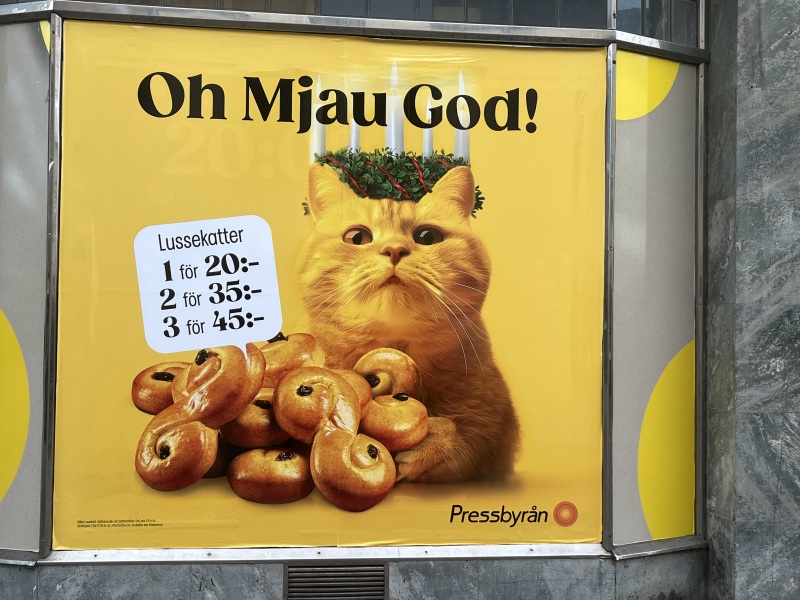 Tinsel, Glitter and Baubles - the Excellent Cats prepare to knock Everything off your Christmas Tree