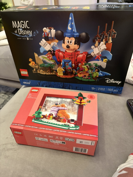 To show me your Lego collection?