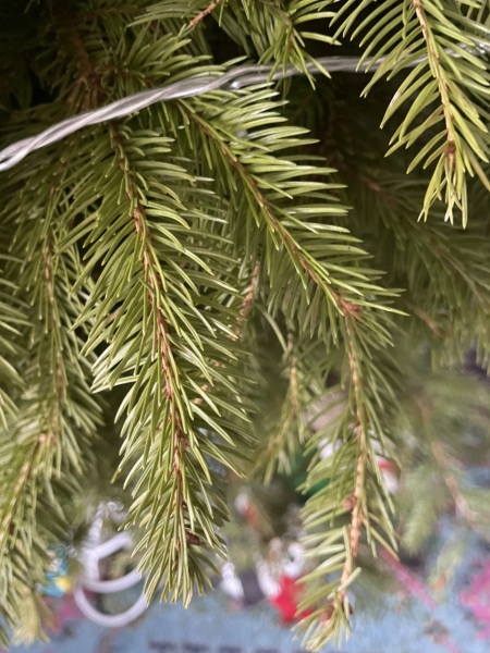 To throw out my Christmas Tree today?