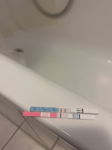 December TTC Support Group