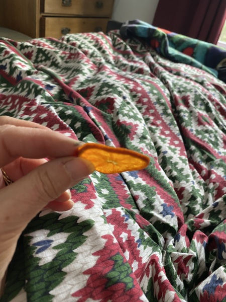 Poncetastic Christmas 2024