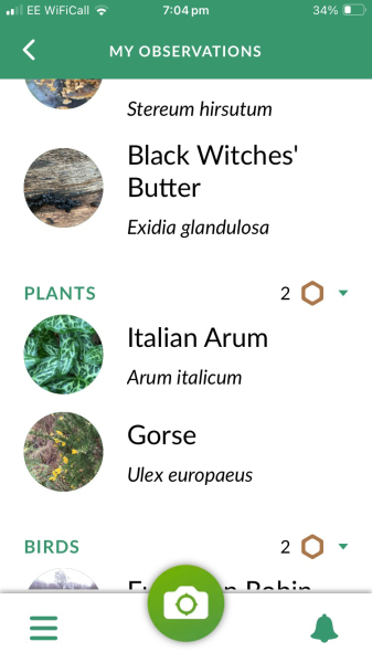 The Bluestocking - the one with the Christmas stocking