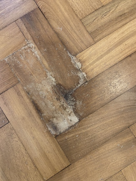 Xmas tree messed up the floor