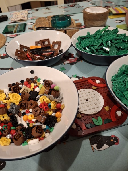 To show me your Lego collection?