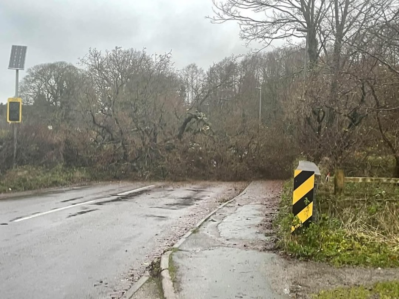 He’s been!! Storm Darragh brought me…….