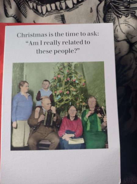 Tinsel, Glitter and Baubles - the Excellent Cats prepare to knock Everything off your Christmas Tree