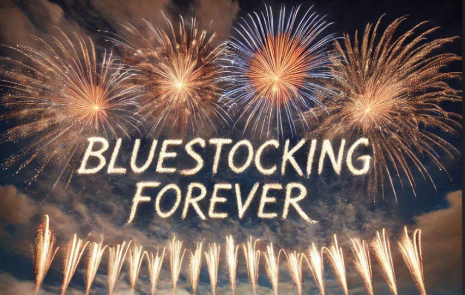 The Bluestocking - the one with the Christmas stocking