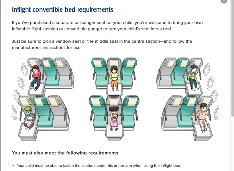Heading back home (Nz) solo from Ireland. Tips and tricks to survive long haul with 18month old and 3 year old