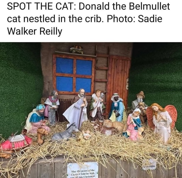What perfectly ordinary places have you found your cat?