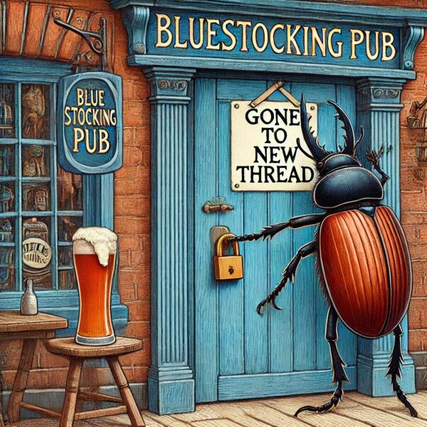 The Bluestocking - the one with the Christmas stocking