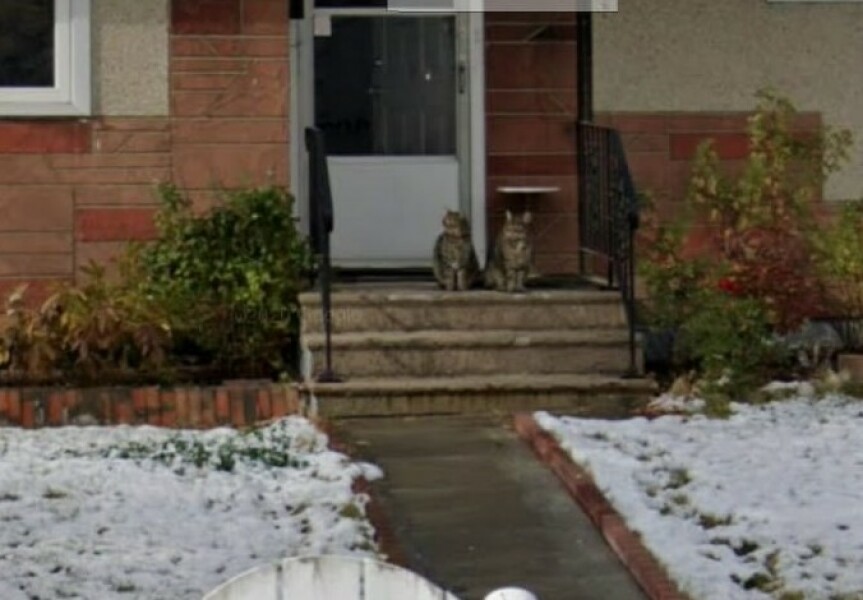 What perfectly ordinary places have you found your cat?