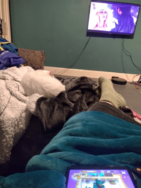 Tinsel, Glitter and Baubles - the Excellent Cats prepare to knock Everything off your Christmas Tree