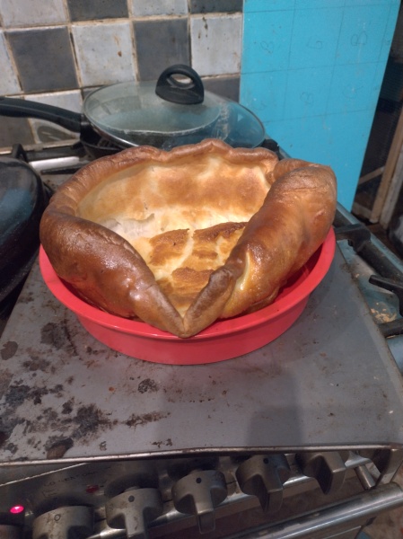 Tinsel, Glitter and Baubles - the Excellent Cats prepare to knock Everything off your Christmas Tree