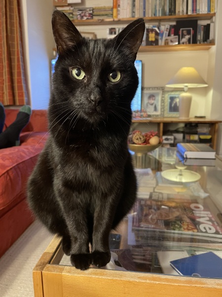 Thread 13 Starmer - facts are for lefties