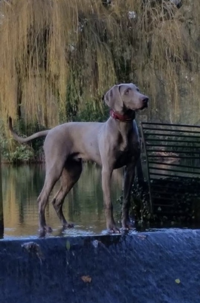 Mounjaro August starters thread 9 (OMG)