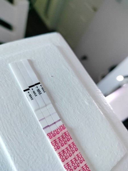 December TTC Support Group