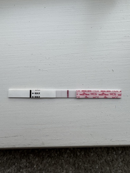 August 2025 Due Dates Club