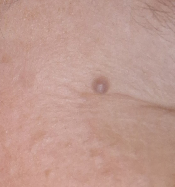 Anyone know what this is?