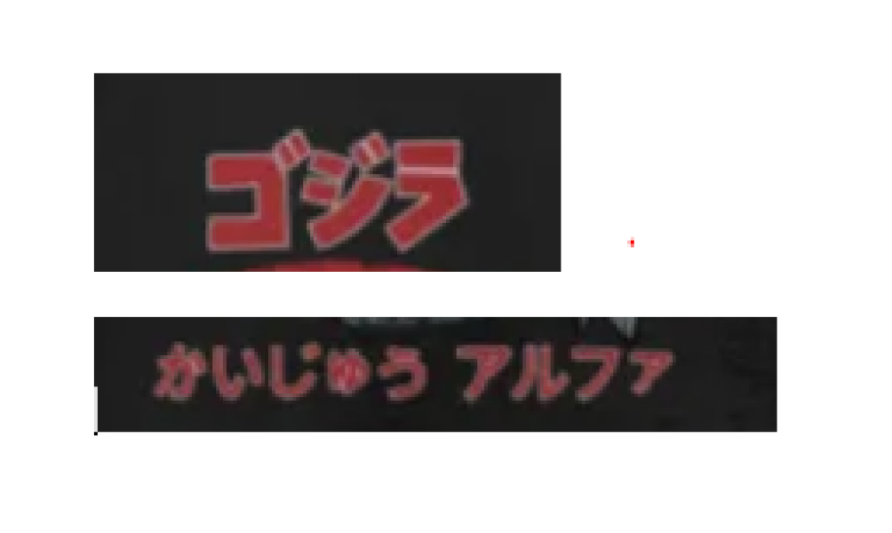 Anyone speak Japanese and can help me work out what this says?