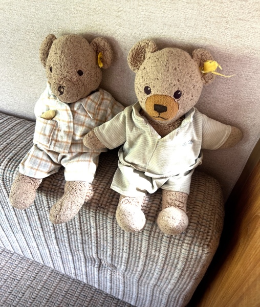 Help, are any mumsnetters passing the St Pancras premier inn next few days