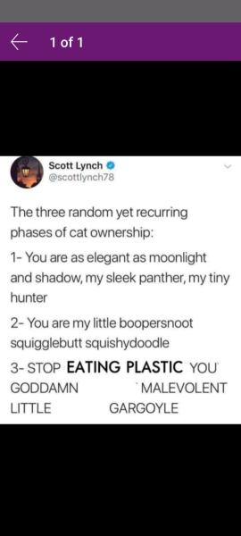 Ring Out, Wild Bells! As 2025 approaches, the Excellent Cats raise their game with a discussion on Tennyson's poetry