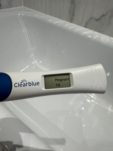 IVF/ICSI/FET December 2024