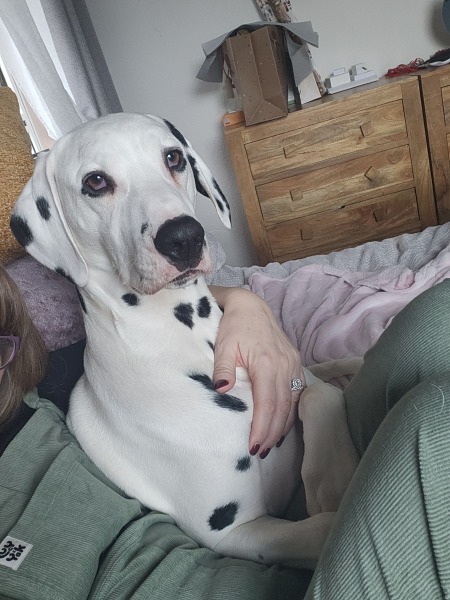 Mounjaro August starters thread 9 (OMG)