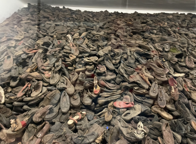 Children at Auchwitz