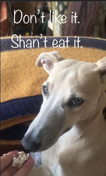 Dog feeding high maintenance dog stress